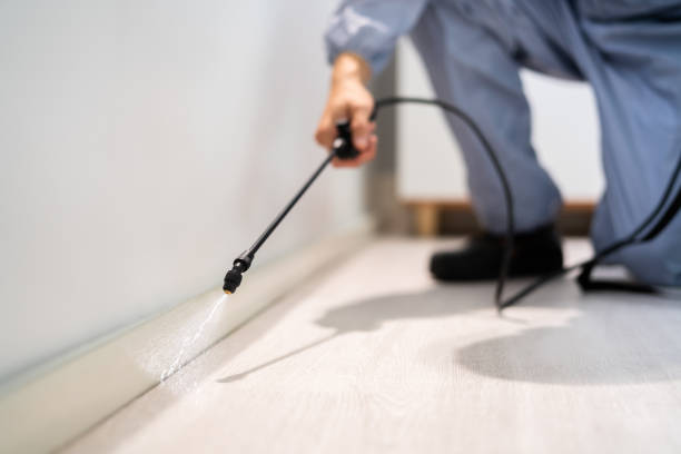 Licensed Pest Control service in Rossmoor, NJ - Show Me Pest Control
