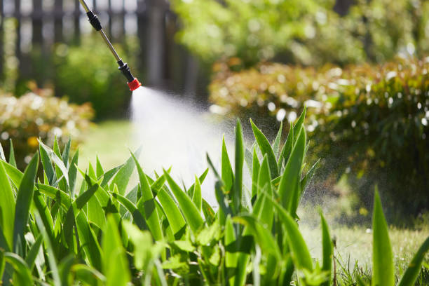 Void Injection for Cockroach Colonies in Rossmoor